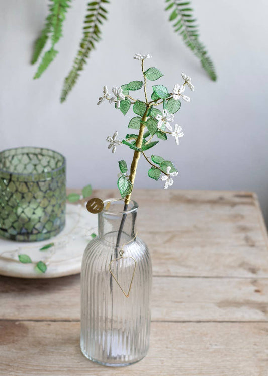 Bloem Groene Bladeren